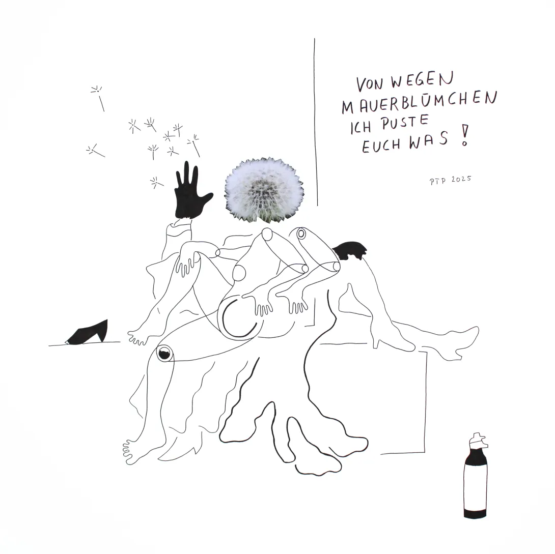 von wegen Mauerblümchen